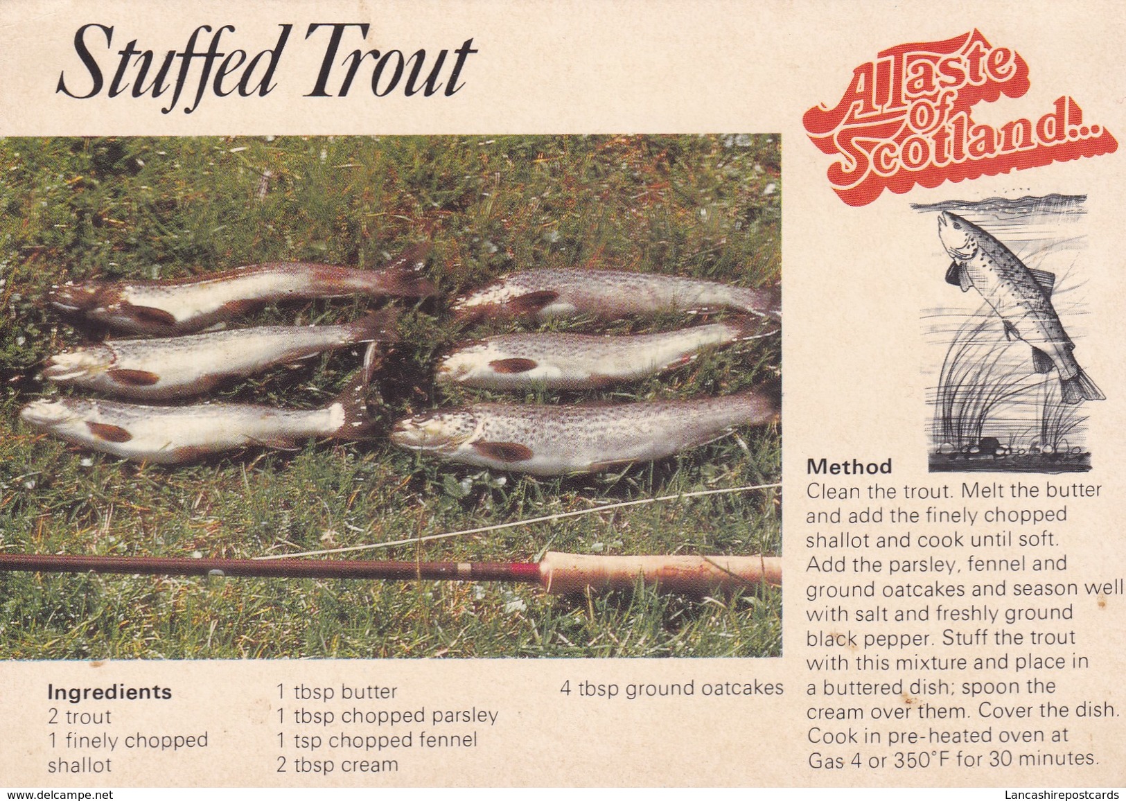 Postcard Stuffed Trout A Taste Of Scotland Recipe Of Scottish Cooking By Jarrold My Ref B22113 - Recipes (cooking)