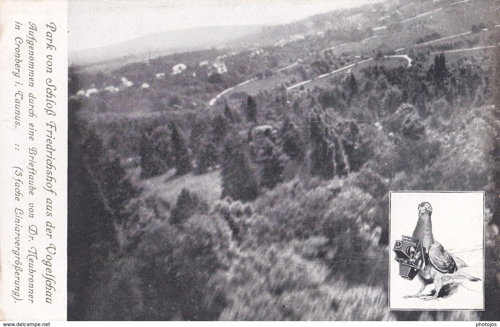 Postkarte :  Cronberg I Taunus  (Allemagne) Aufgenommen Durch Eine  Brieftaube Von Dr Neubronner Photographie Pigeon - Taunus