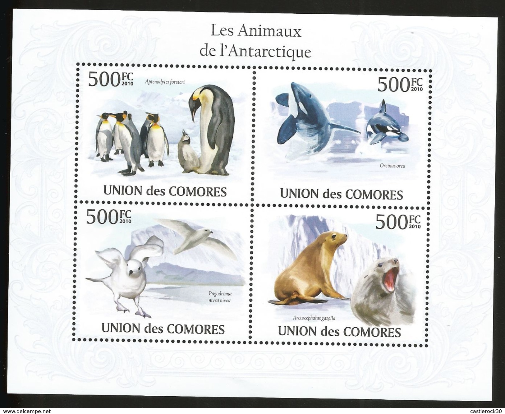 J) 2010 COMOROS, PENGUIN, WHALE, SEAL, WHITE BIRD, SOUVENIR SHEET, MNH - Comoros