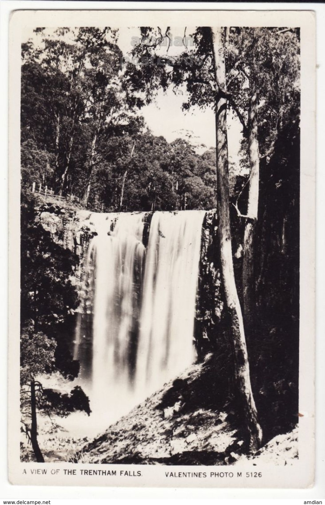 AUSTRALIA Trentham Falls Victoria C1930s Vintage Real Photo Postcard RPPC M8996 - Other & Unclassified