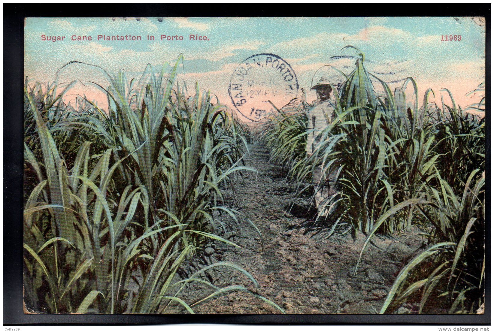 ANTILLES - PUERTO RICO - Sugar Cane Plantation In Porto Rico - Puerto Rico