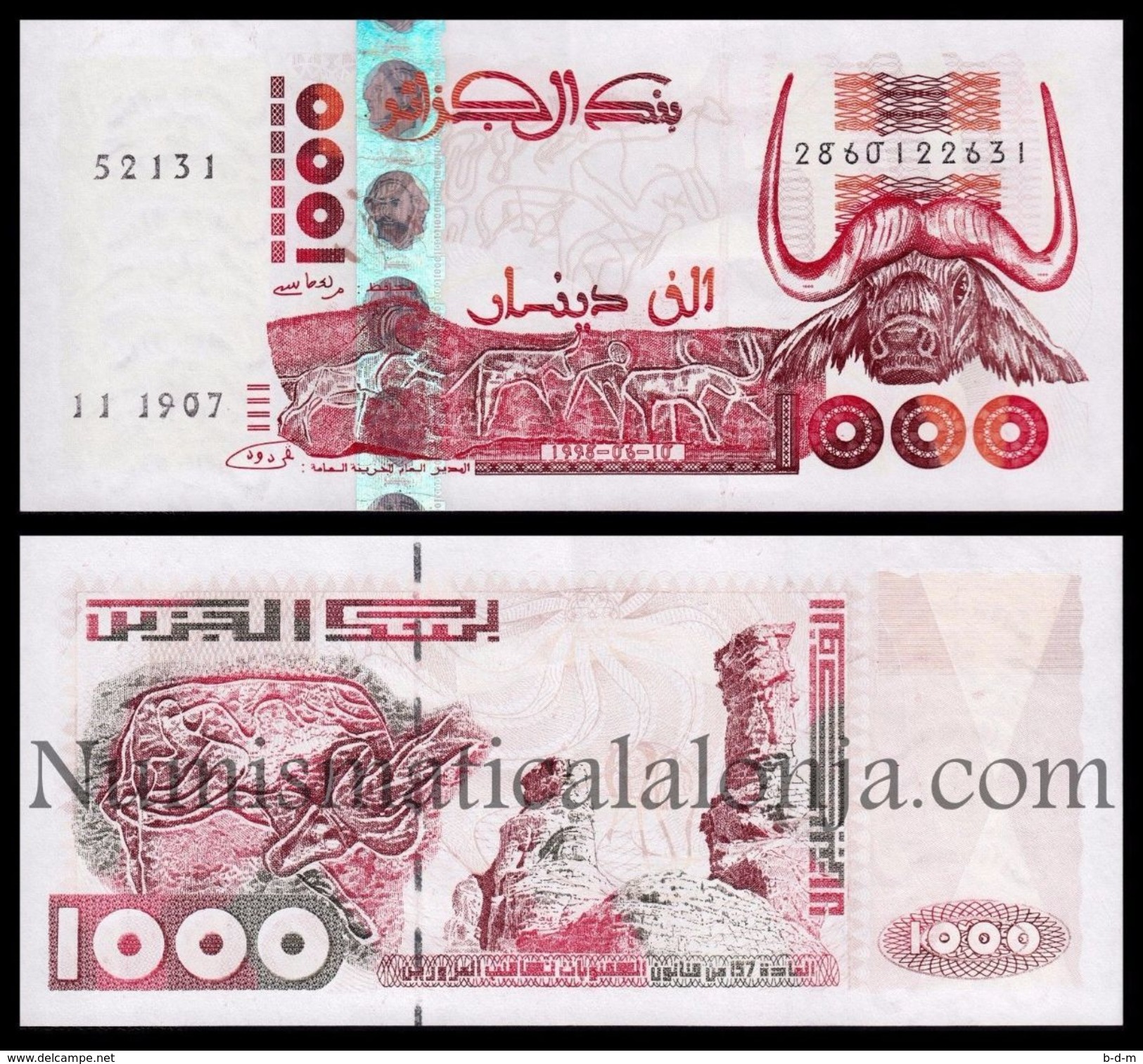 Argelia Algeria 1000 Dinars Water Buffalo 1998 Pick 142b SC UNC - Argelia