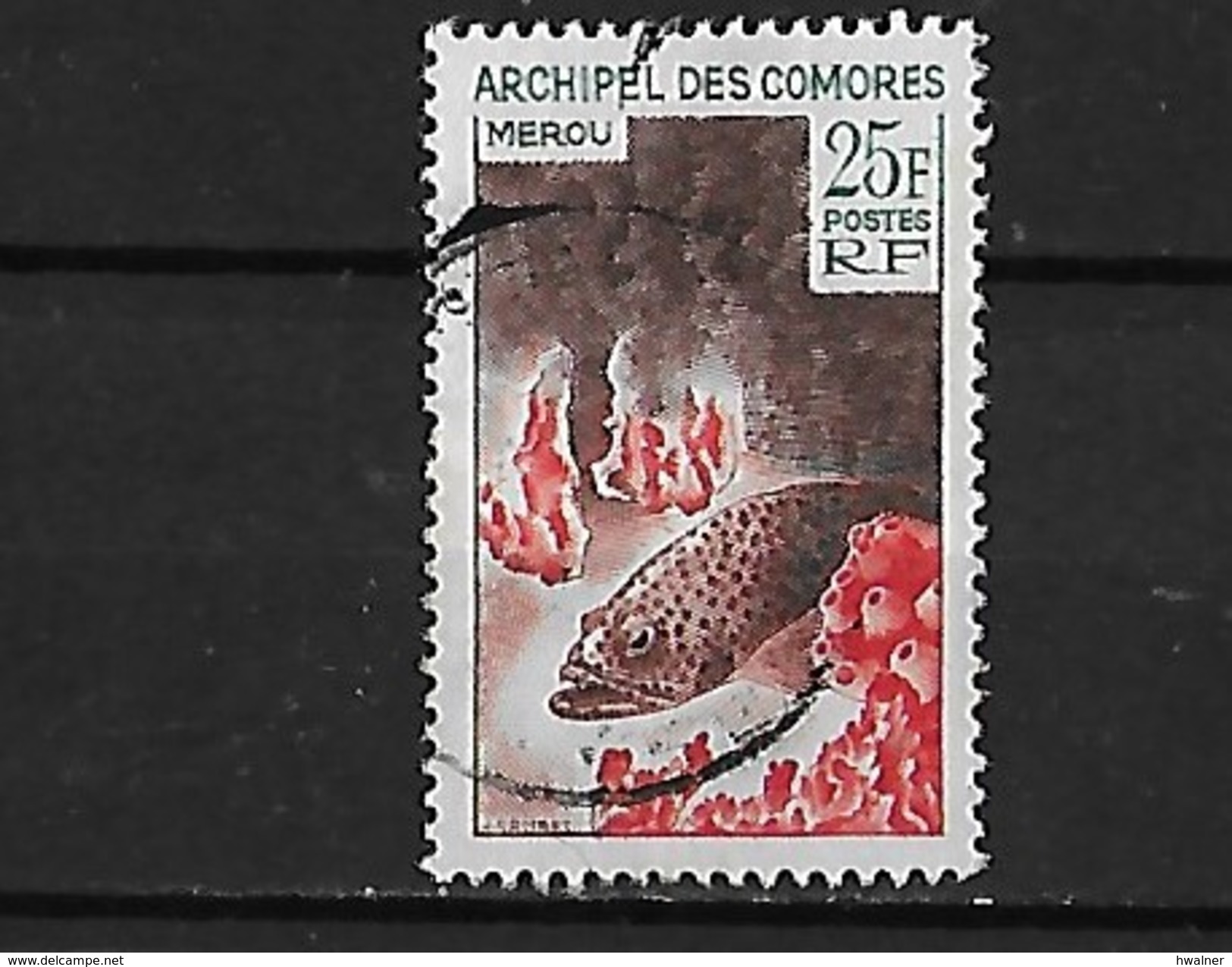 Comores Yv. 38 O. - Used Stamps