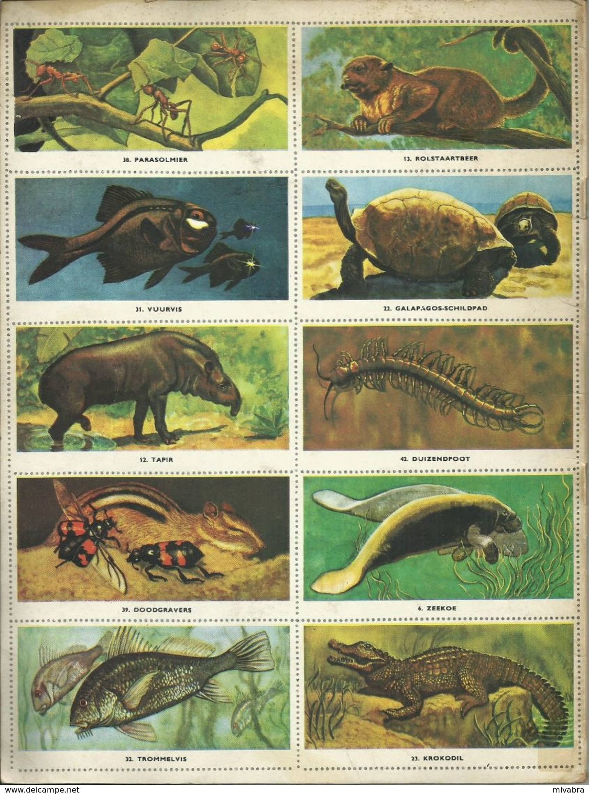 ENCYCLOPEDIE IN ZEGELS N° 21 WONDEREN UIT DE DIERENWERELD ( ALLIGATOR OCTOPUS TAPIR  GALAPAGOS TURTLE CAMELEON ...) 1958 - Encyclopedia