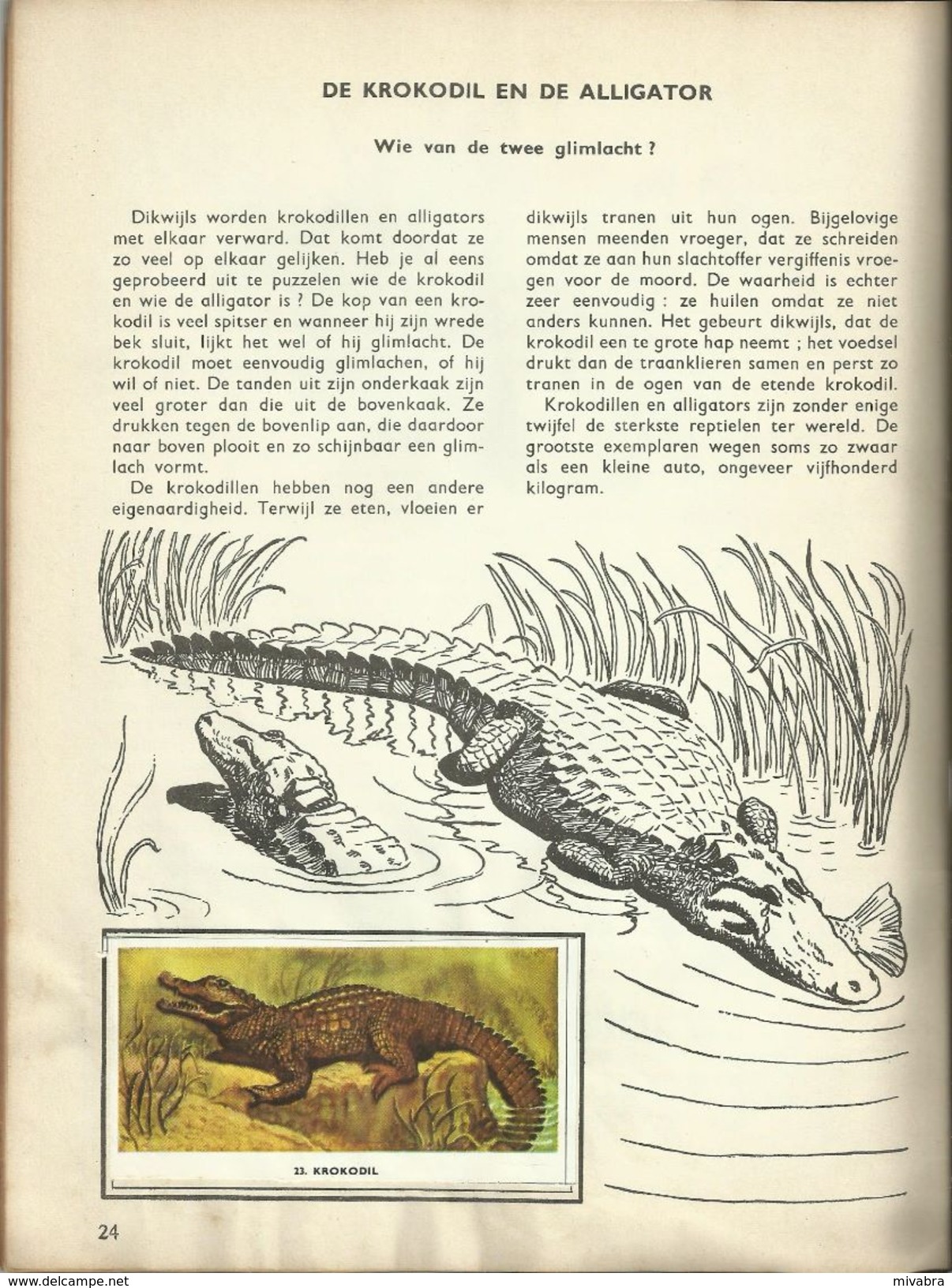 ENCYCLOPEDIE IN ZEGELS N° 21 WONDEREN UIT DE DIERENWERELD ( ALLIGATOR OCTOPUS TAPIR  GALAPAGOS TURTLE CAMELEON ...) 1958 - Enciclopedia