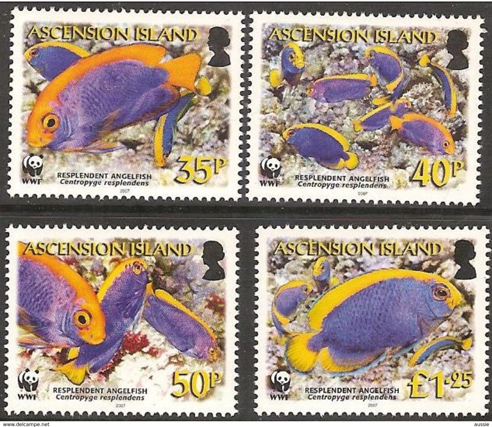 Ascension 2007 Yvertn° 902-905 Mi 989-992  *** MNH  Cote 13,00 Euro Faune WWF Poissons Vissen Fish - Ascension