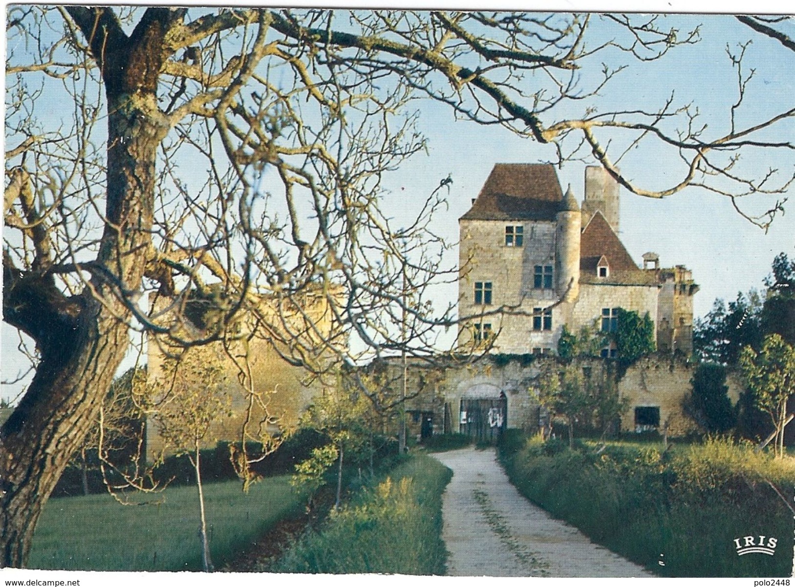 CPM - Saint Cyprien Château De Fages - Autres Communes