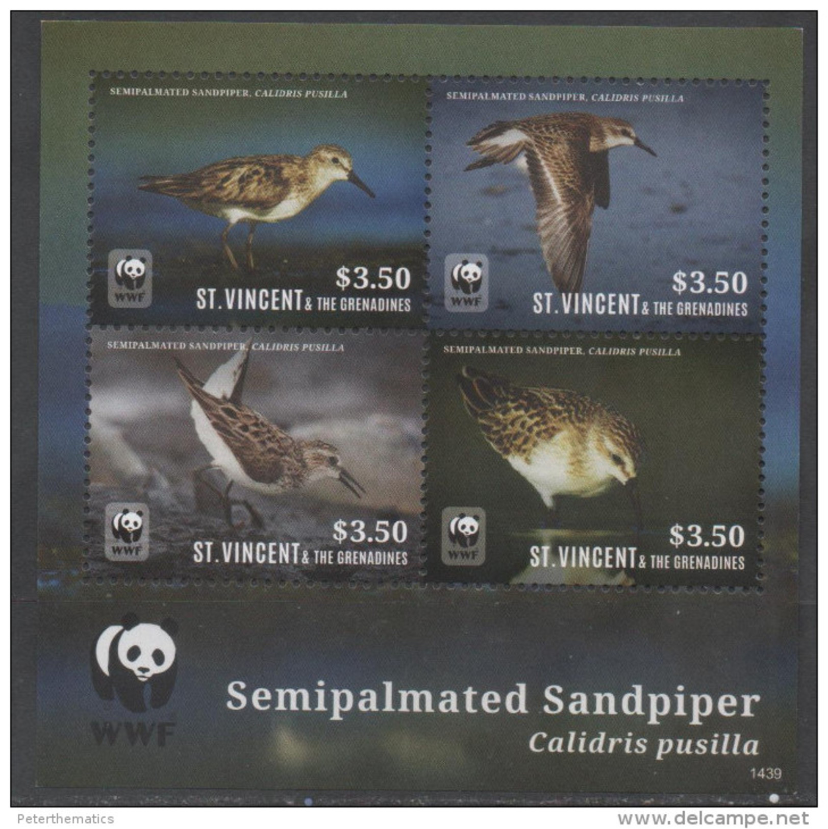 ST. VINCENT AND THE GRENADINES, 2014, MNH, WWF, BIRDS, SANDPIPER,LIMITED EDITION SHEETLET OF 1 SET - Other & Unclassified