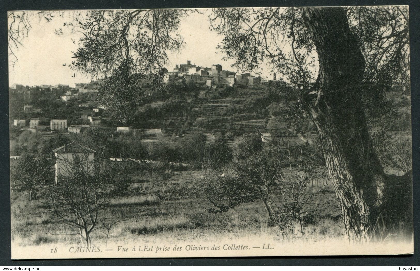 CAGNES SUR MER - VUE A L'EST PRISE DES OLIVIERS DES COLLETTES - Cagnes-sur-Mer