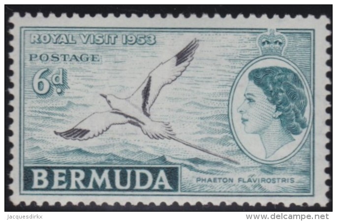 Bermuda     .      SG     .  143       .     **      .  Postfris    /    .    MNH - Bermuda