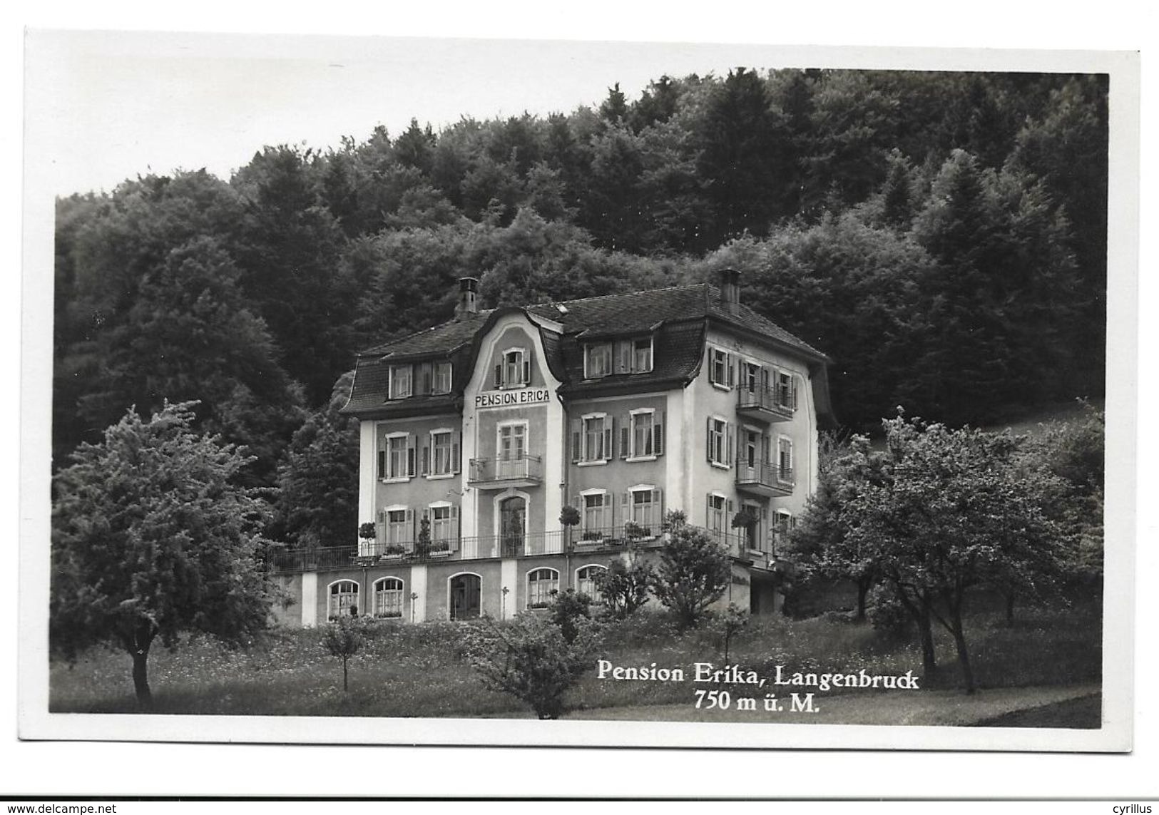 LANGENBRUCK -PENSION ERICA - Carte Photo - Langenbruck