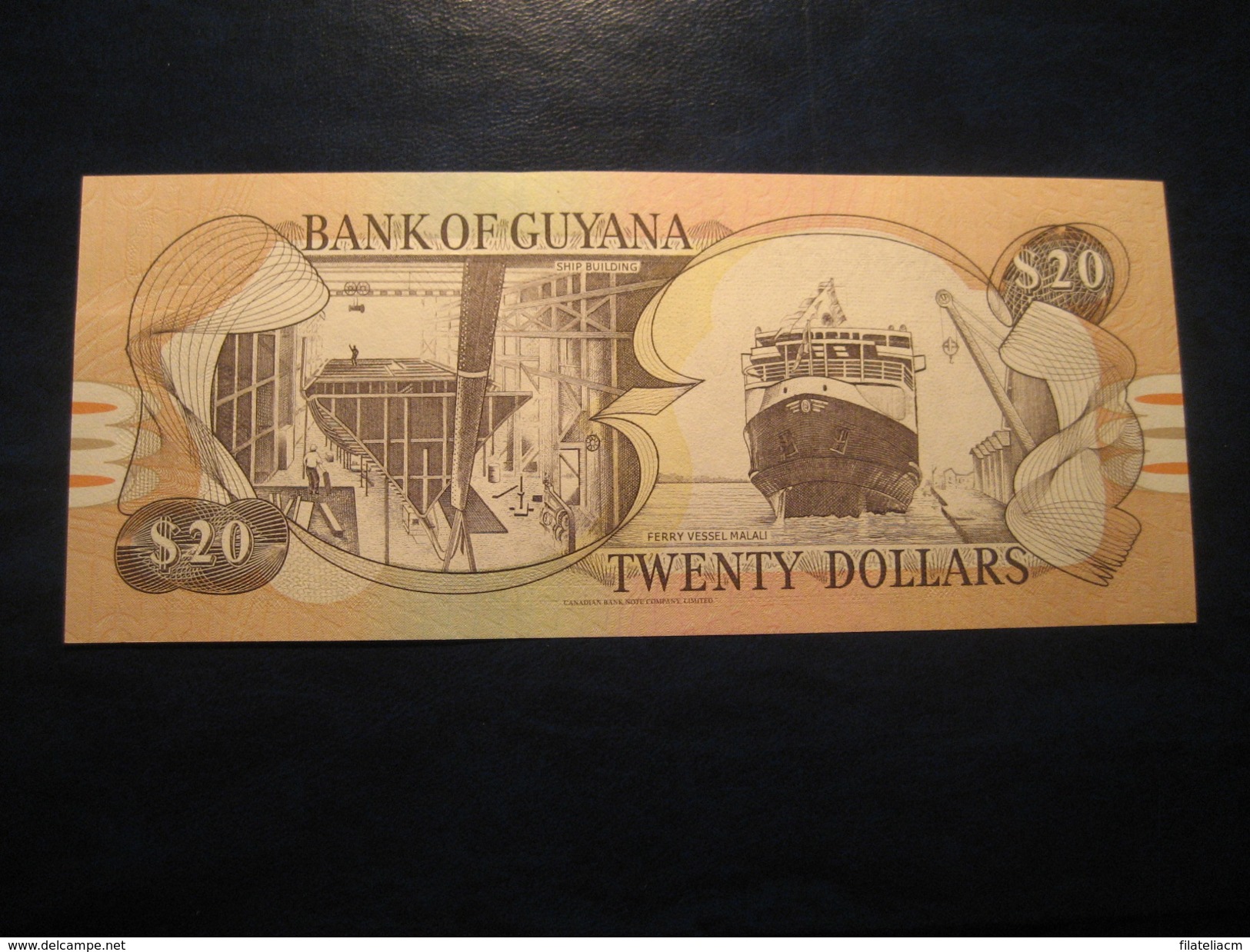 20 Dollars GUYANA Unused UNC Banknote Billet Billete Kaieteur Falls - Guyana