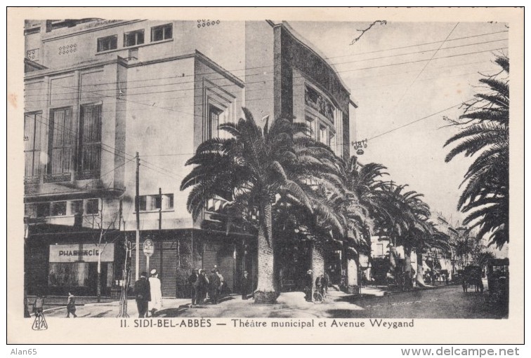 Sidi Bel-Abbes Algeria, Municipal Theater, Avenue Weygand Street Scene C1930s Vintage Postcard - Sidi-bel-Abbès