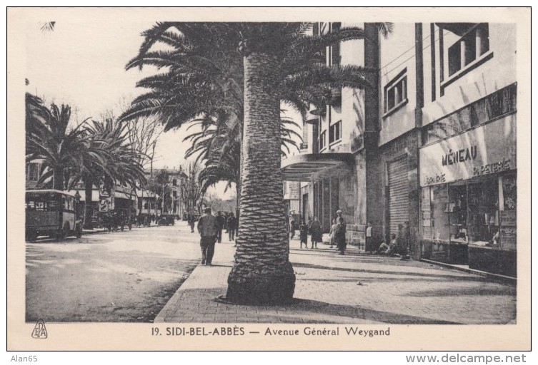 Sidi Bel-Abbes Algeria, Avenue Weygand Street Scene Near Municipal Theater C1930s Vintage Postcard - Sidi-bel-Abbes