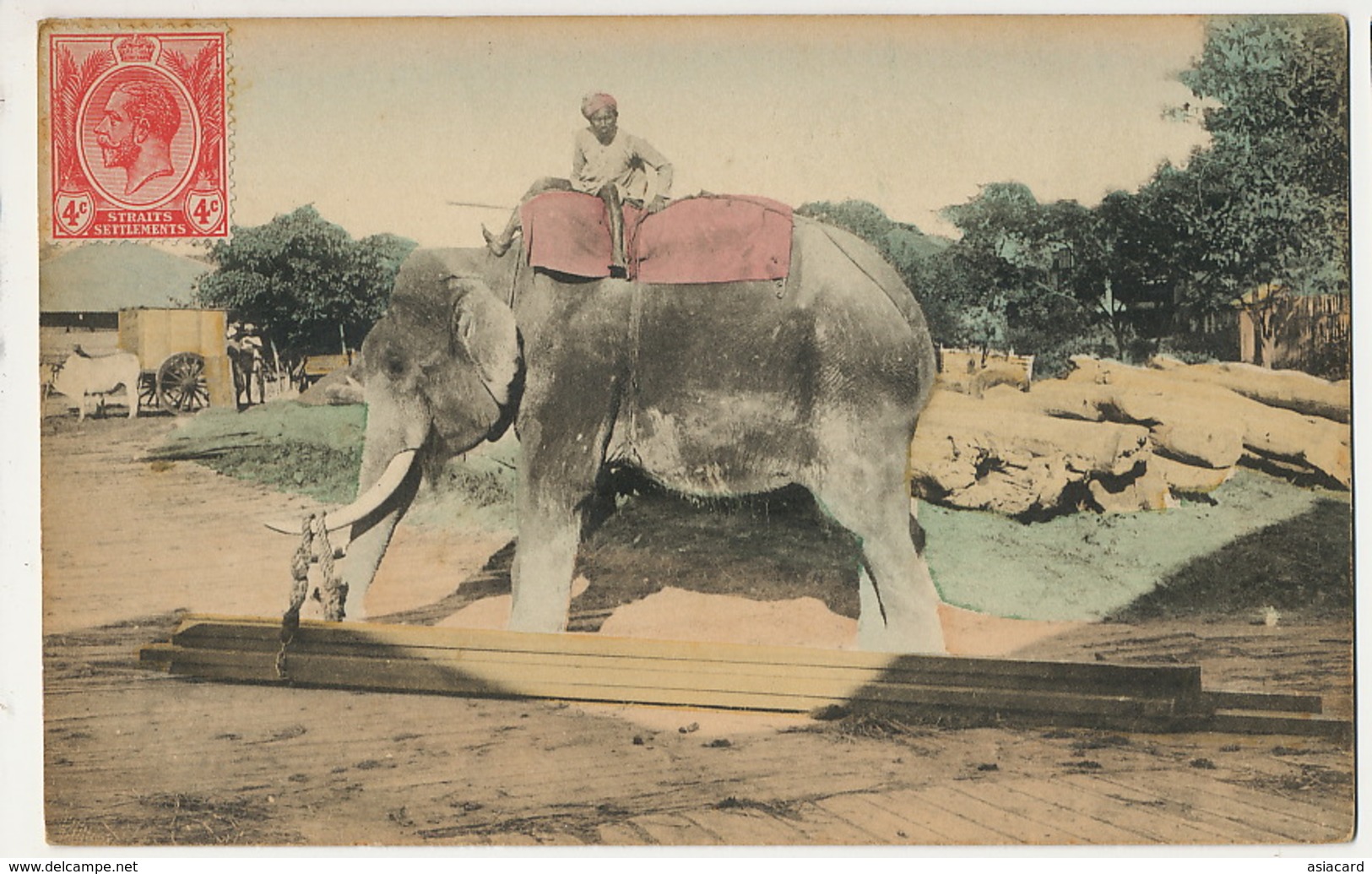 Elephant And Cornac Working Carrying Timber Hand Colored - Malaysia