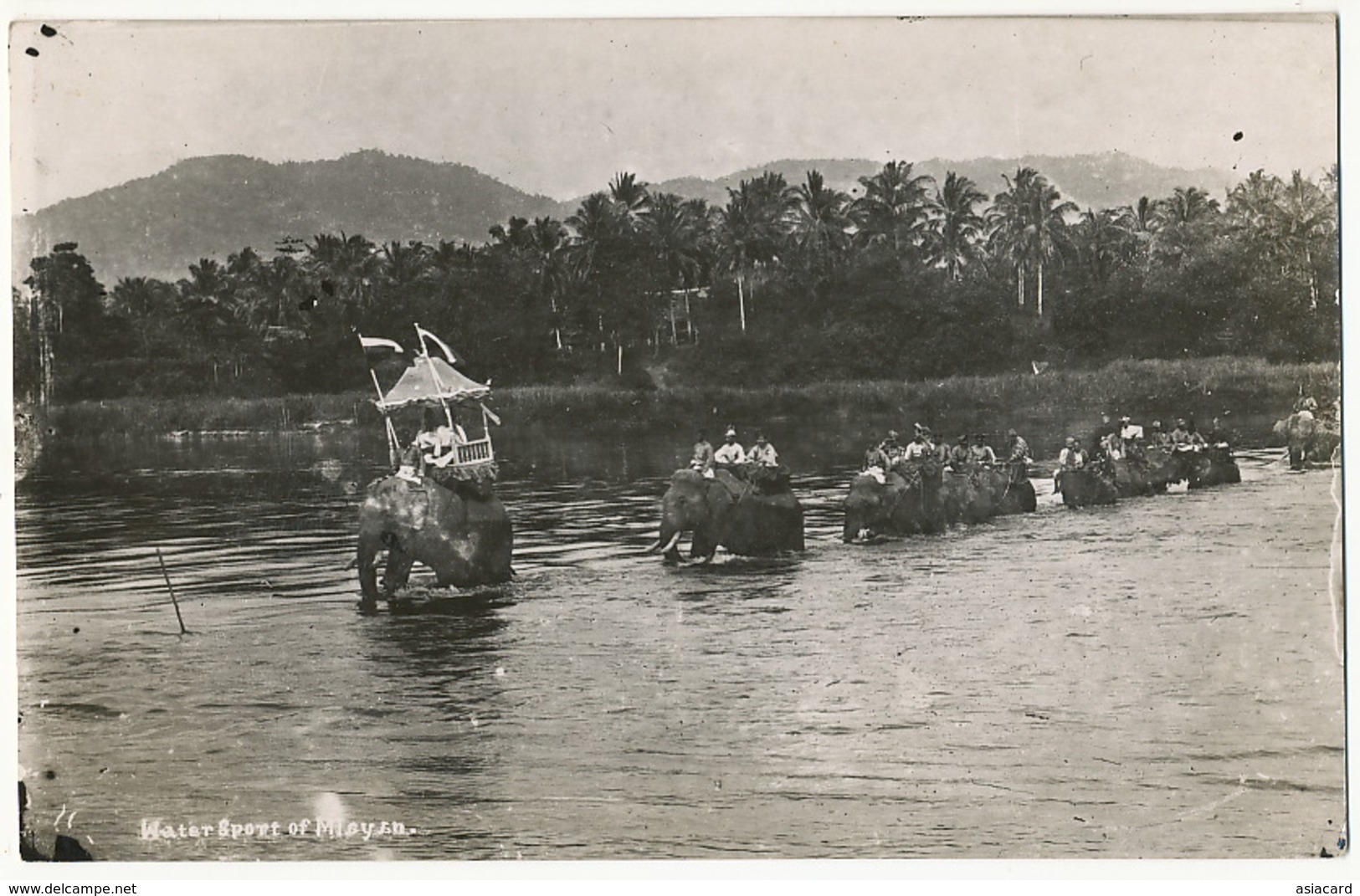 Real Photo Water Sport Malaya Elephant Procession Crossing A River - Malaysia