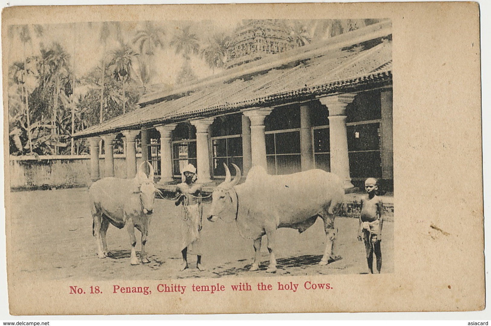 Penang 18 Chitty Temple With The Holy Cows - Malaysia