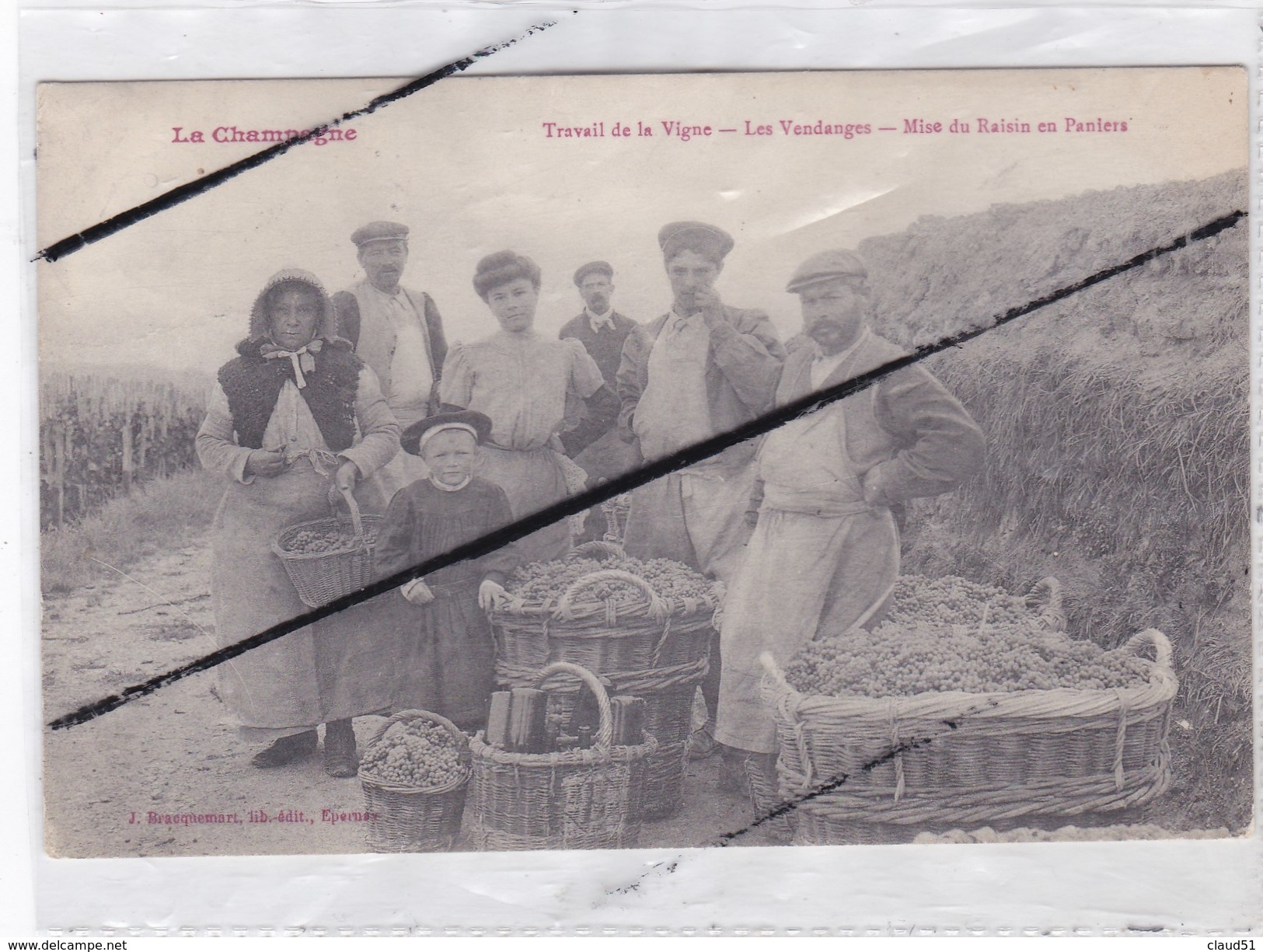 La Champagne ; Travail De La Vigne - Les Vendanges - Mise Du Raisin En Paniers - Champagne-Ardenne