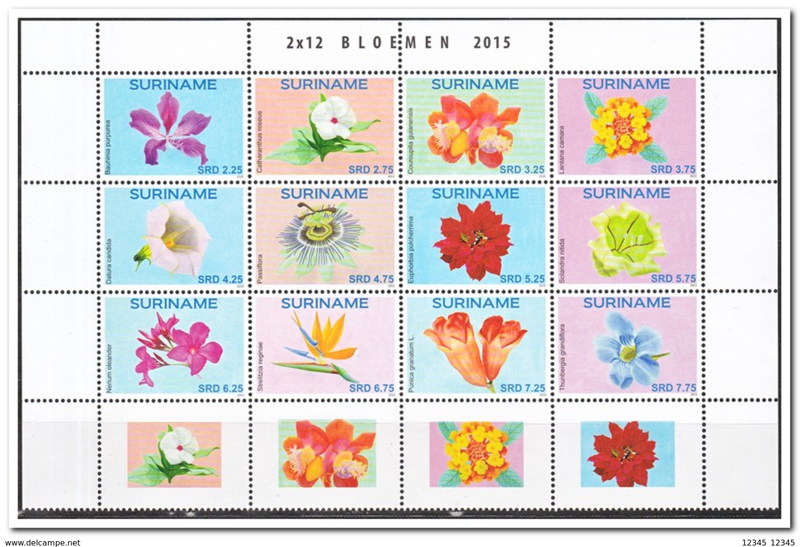 Suriname 2015, Postfris MNH, Flowers - Suriname