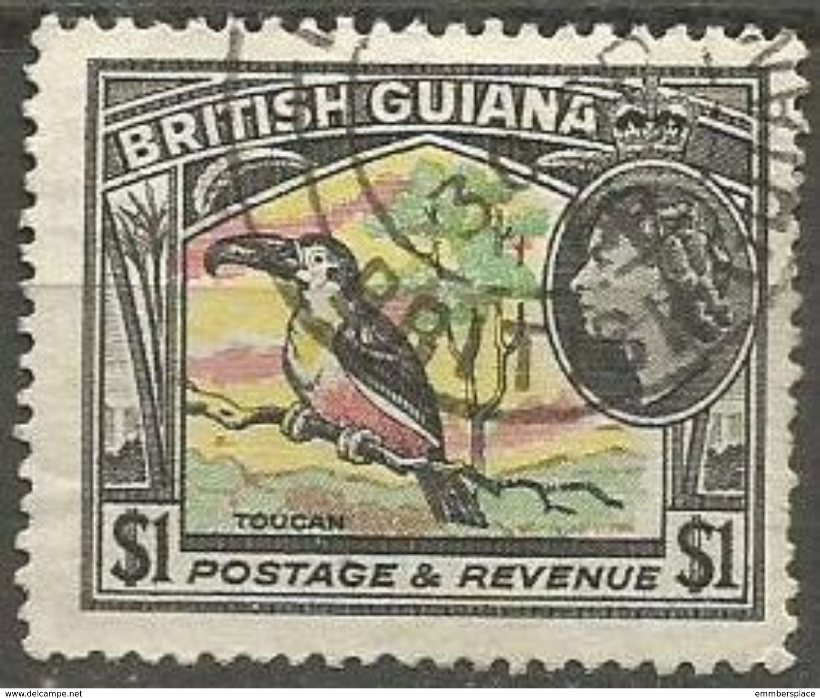 British Guiana  - 1954 Toucan $1 Used  SG 343  Sc 265 - Britisch-Guayana (...-1966)