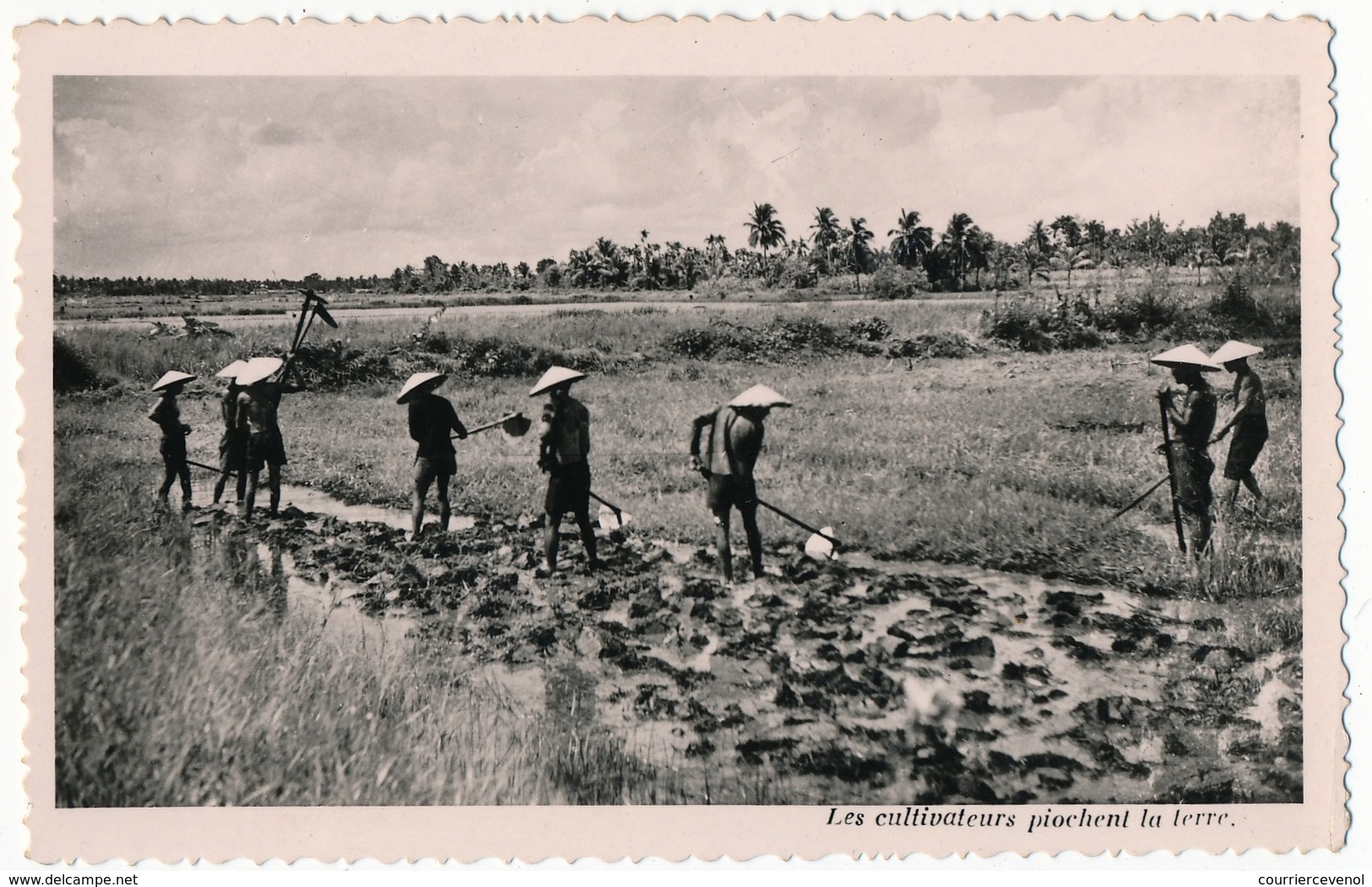 CPSM Carte Photo - INDOCHINE - Les Cultivateurs Piochent La Terre - Vietnam
