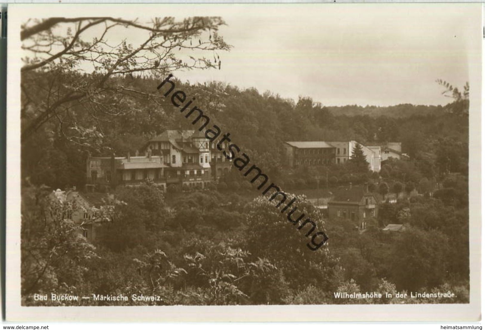 Bad Buckow - Lindenstraße - Wilhelmshöhe - Foto-Ansichtskarte - Verlag Rudolf Lambeck Berlin - Buckow