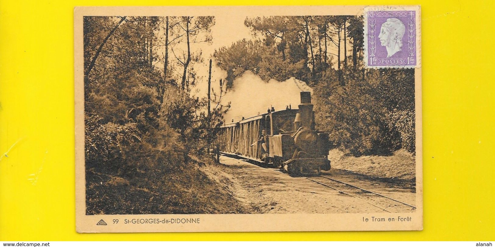 St GEORGES De DIDONNE Rare Le Tram En Forêt (CAP) Chte Mme (17) - Saint-Georges-de-Didonne