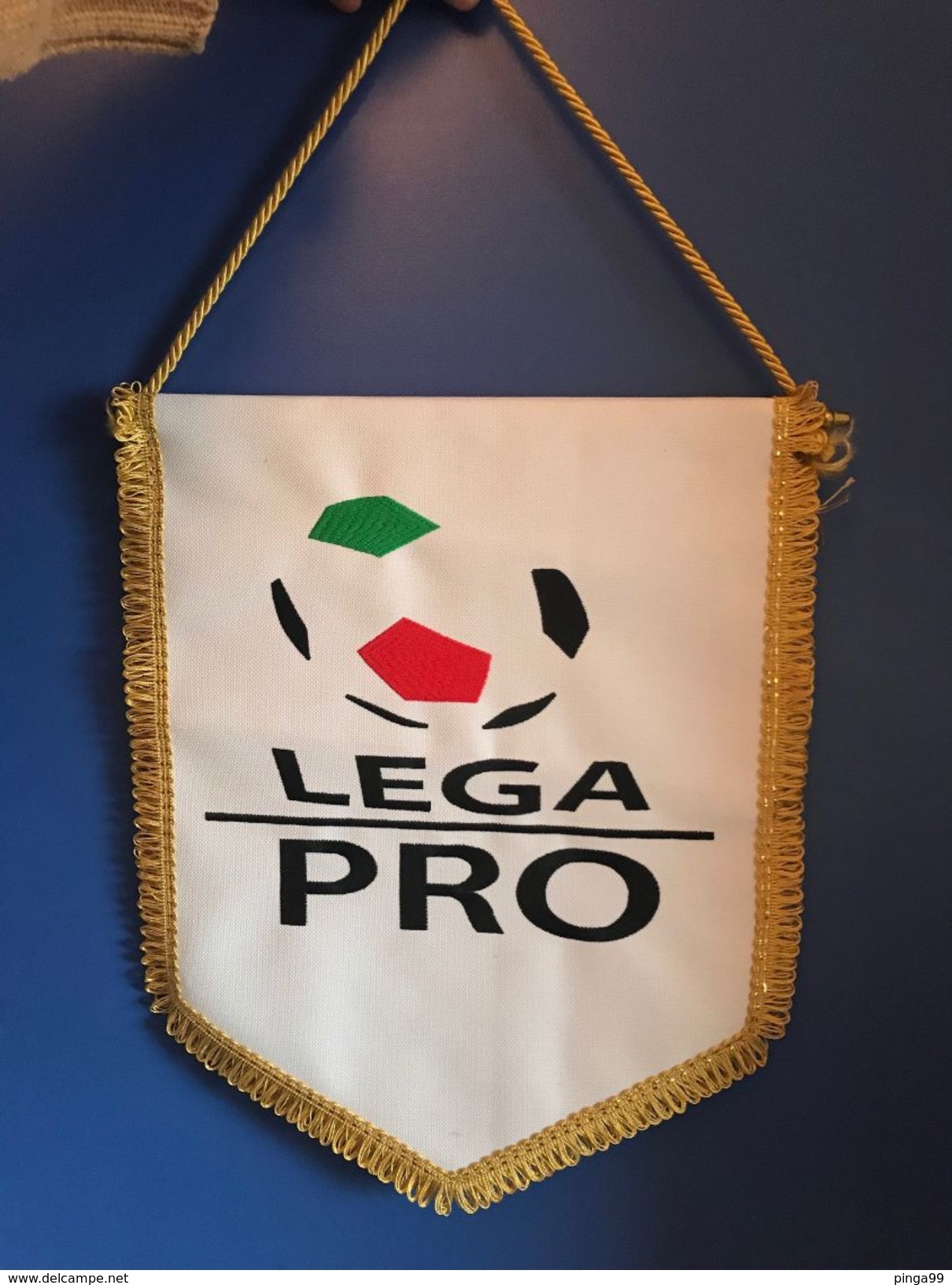 FOOTBALL LEGA PRO OFFICIAL PENNANT 34 X28 Cm - Other & Unclassified