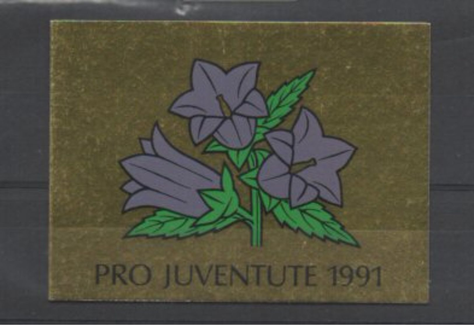 1991 Pro Juventute, Gestempelt, Ersttag - Cuadernillos