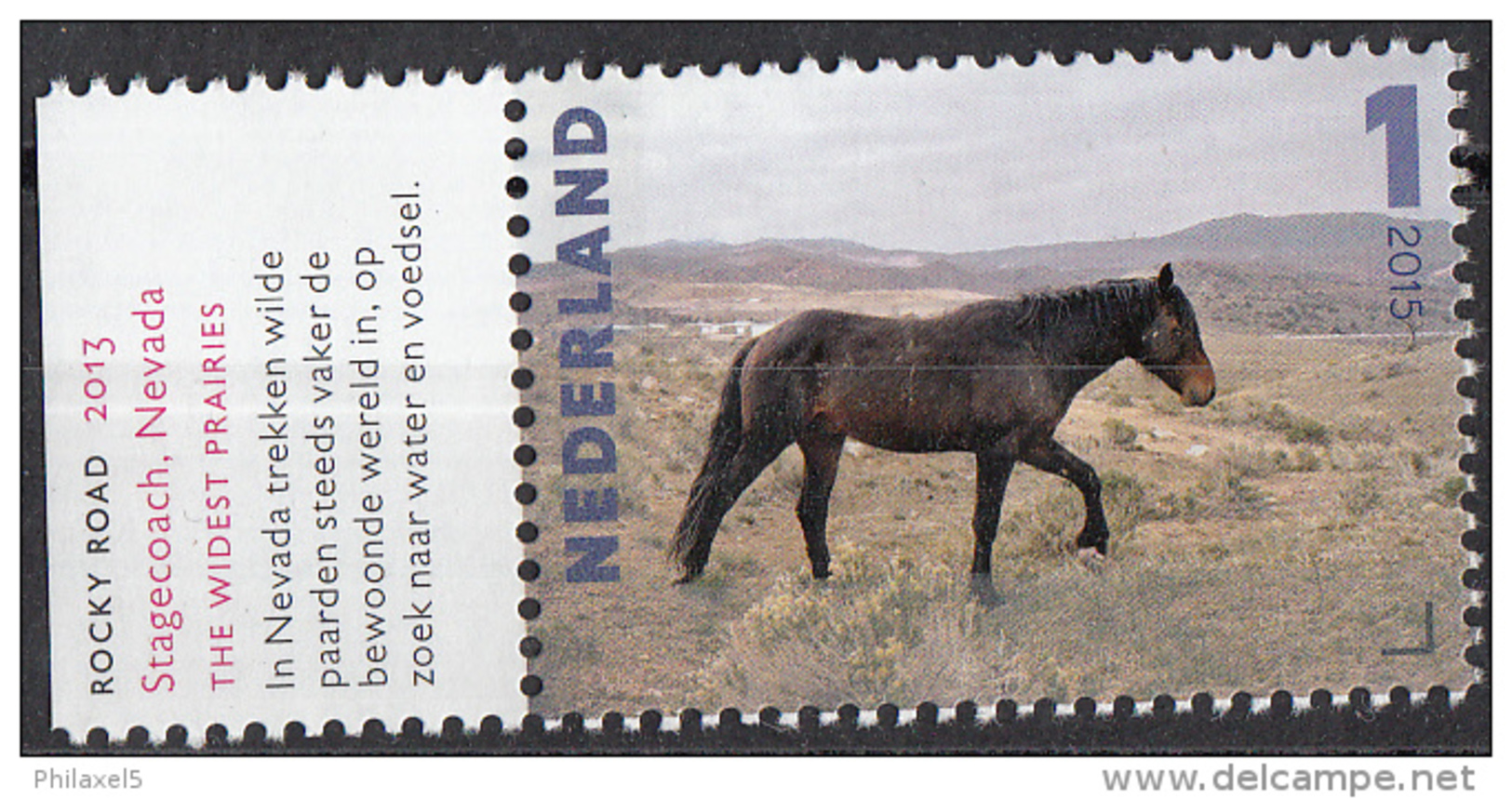 Nederland - Charlotte Dumas - Rocky Road, 2013 - Paard/Horse - MNH - NVPH 3339 - Paarden