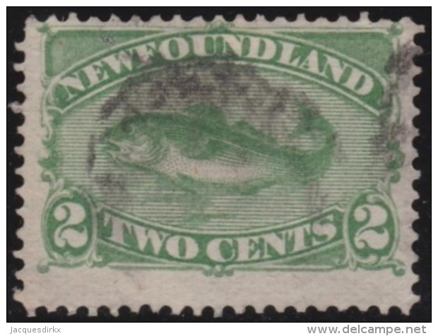Newfoundland         .    SG     .     46     .       O      .   Gebruikt    .    /  .   Cancelled - 1865-1902