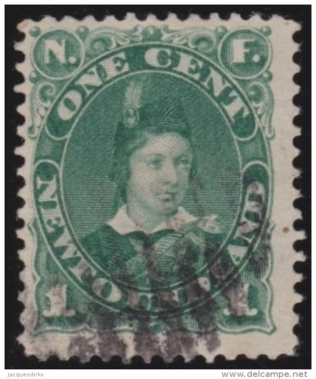 Newfoundland         .    SG     .     50    .       O      .   Gebruikt    .    /  .   Cancelled - 1865-1902