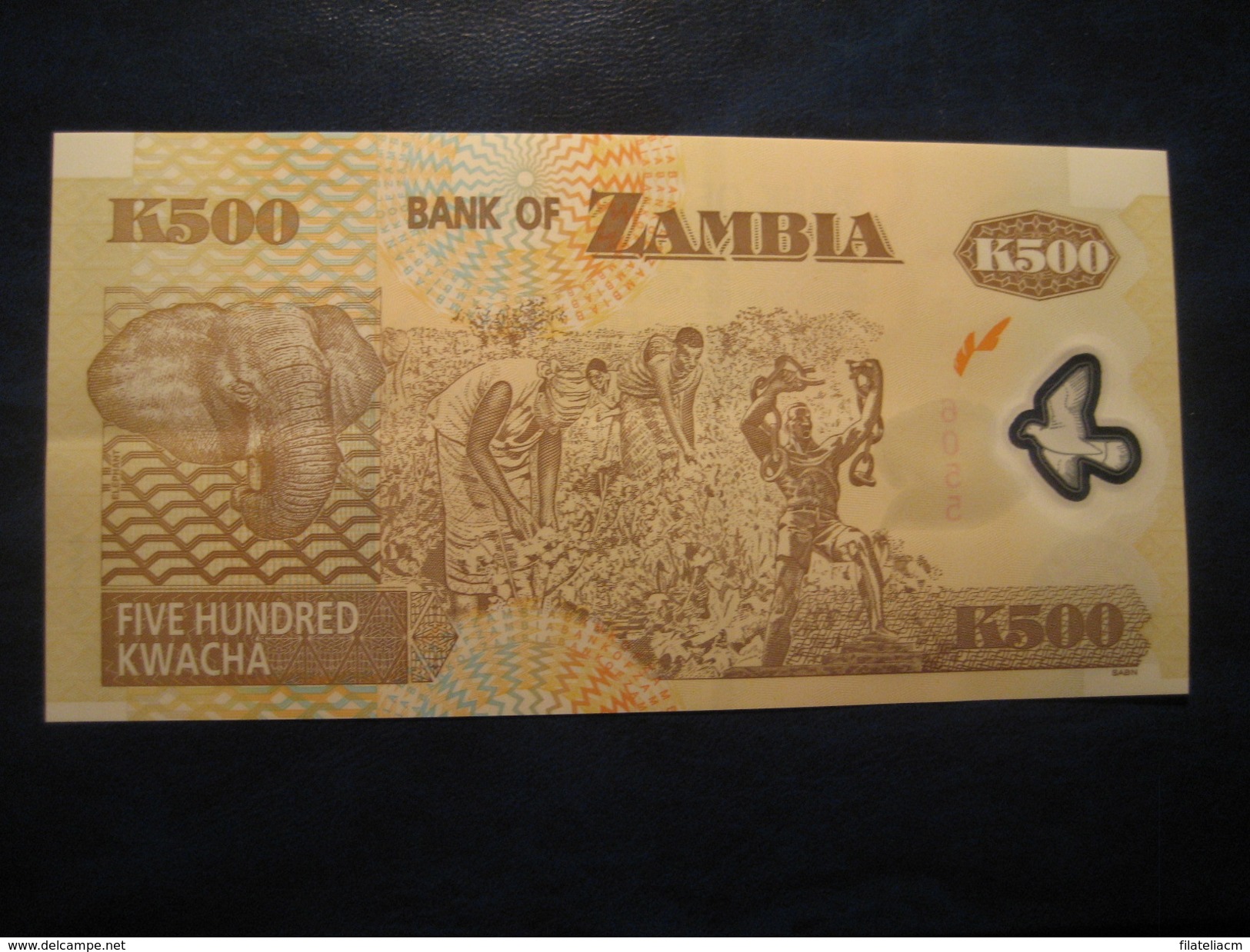 500 Kwacha 2008 ZAMBIA Unused UNC Banknote Billet Billete - Zambia