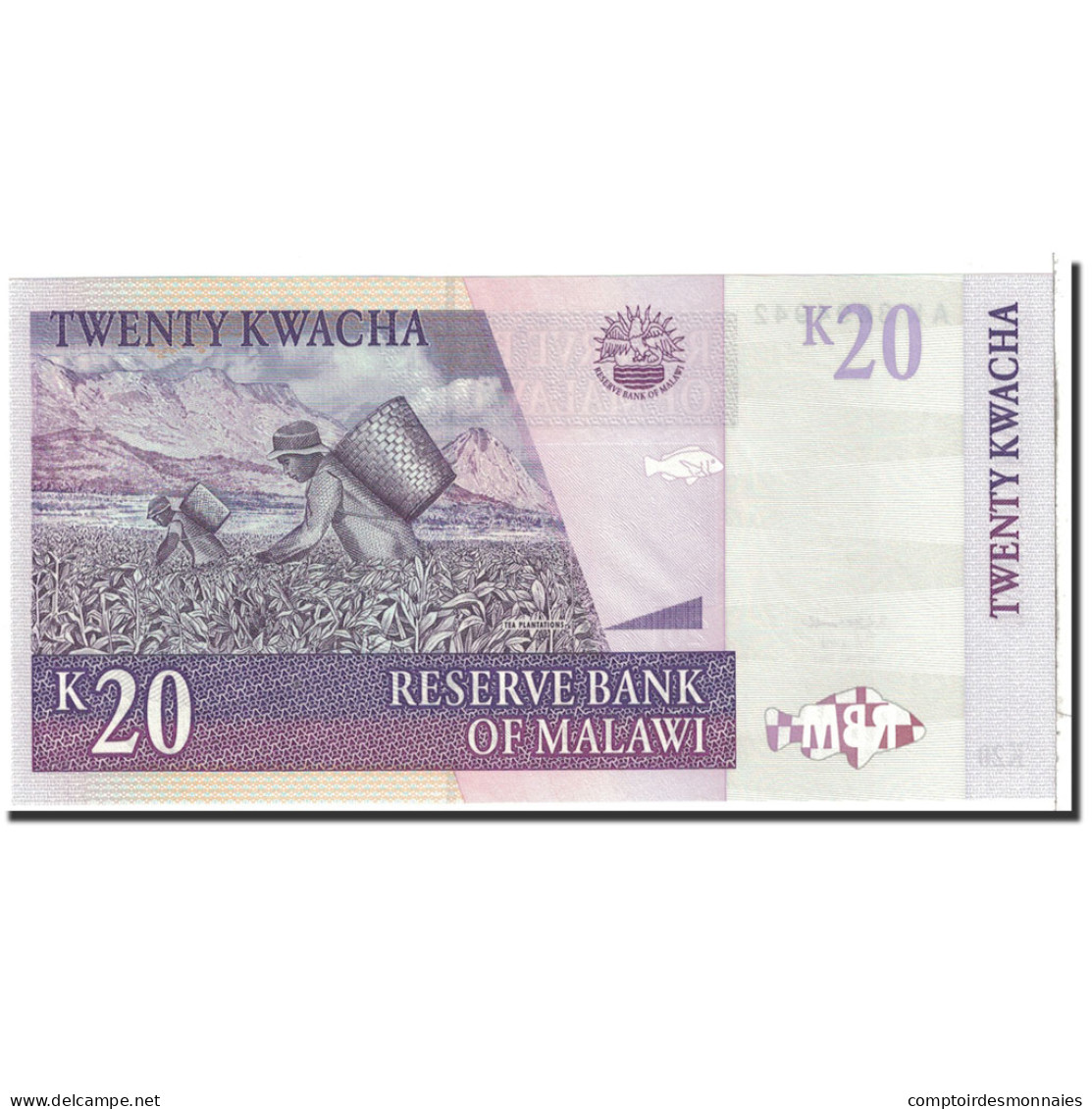 Billet, Malawi, 20 Kwacha, 2005, 2005-10-31, KM:52b, NEUF - Malawi