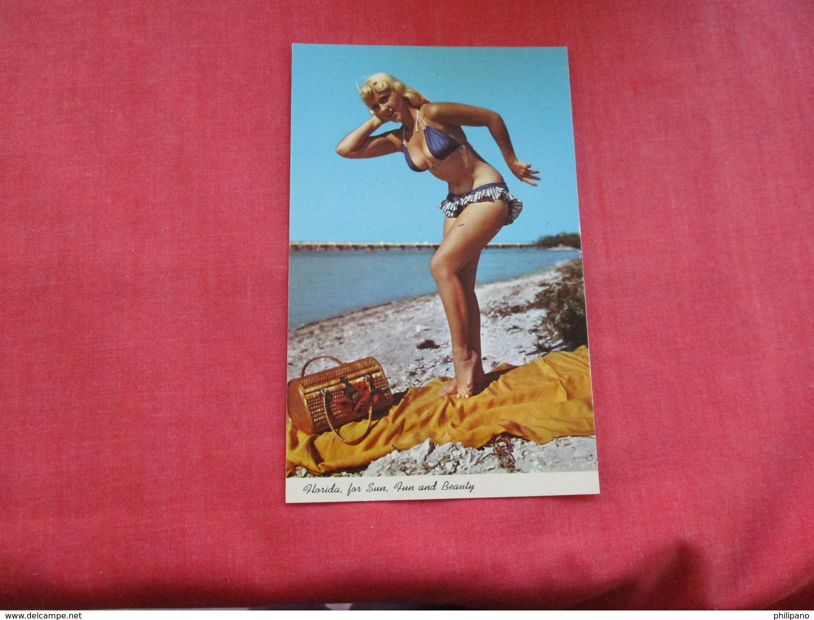 > Pin-Ups ==  ===Florida For Sun & Fun--ref 2799 - Pin-Ups