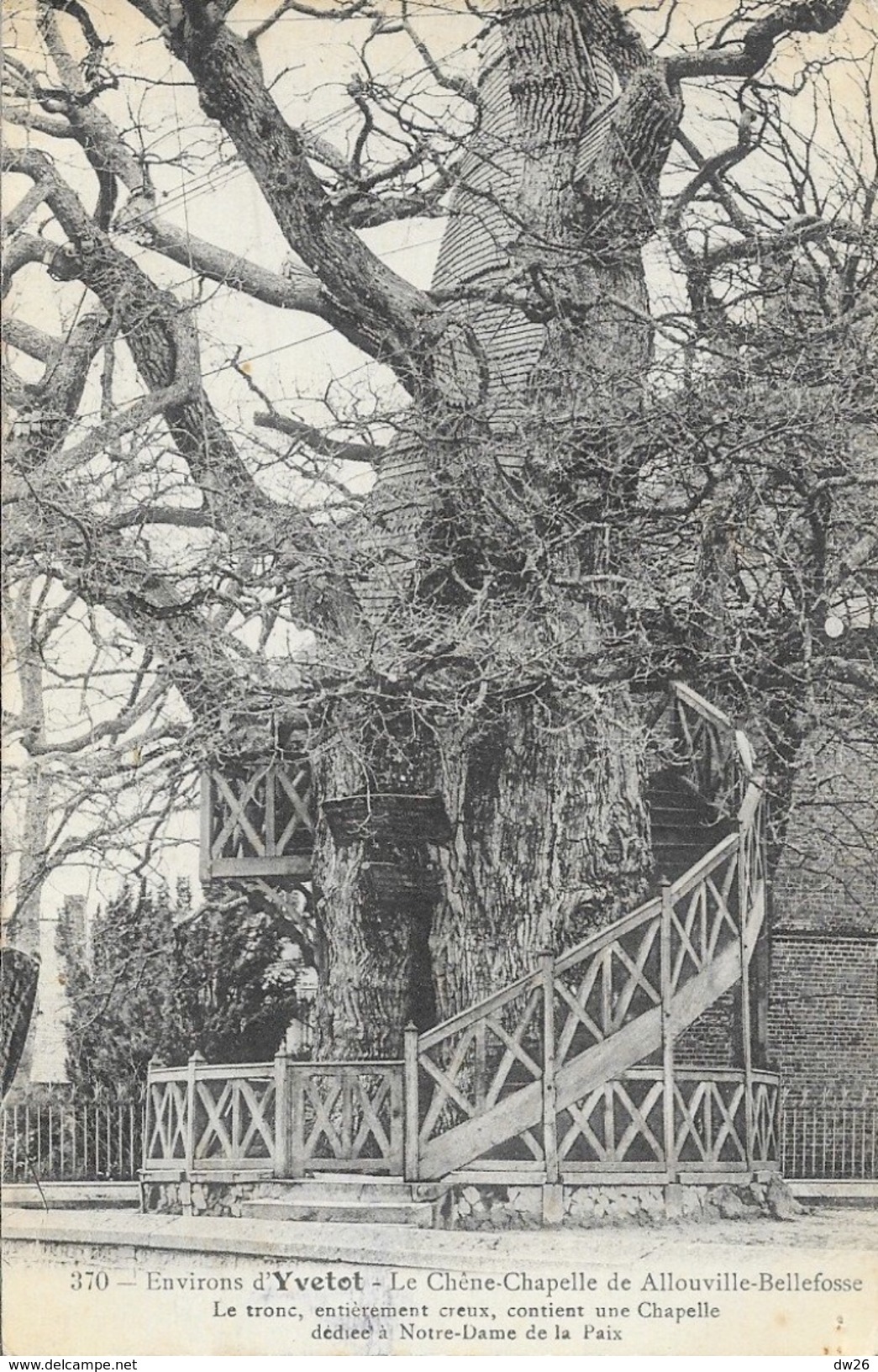 Environs D'Yvetot - Le Chêne Chapelle De Allouville-Bellefosse (Notre-Dame De La Paix) - Alberi