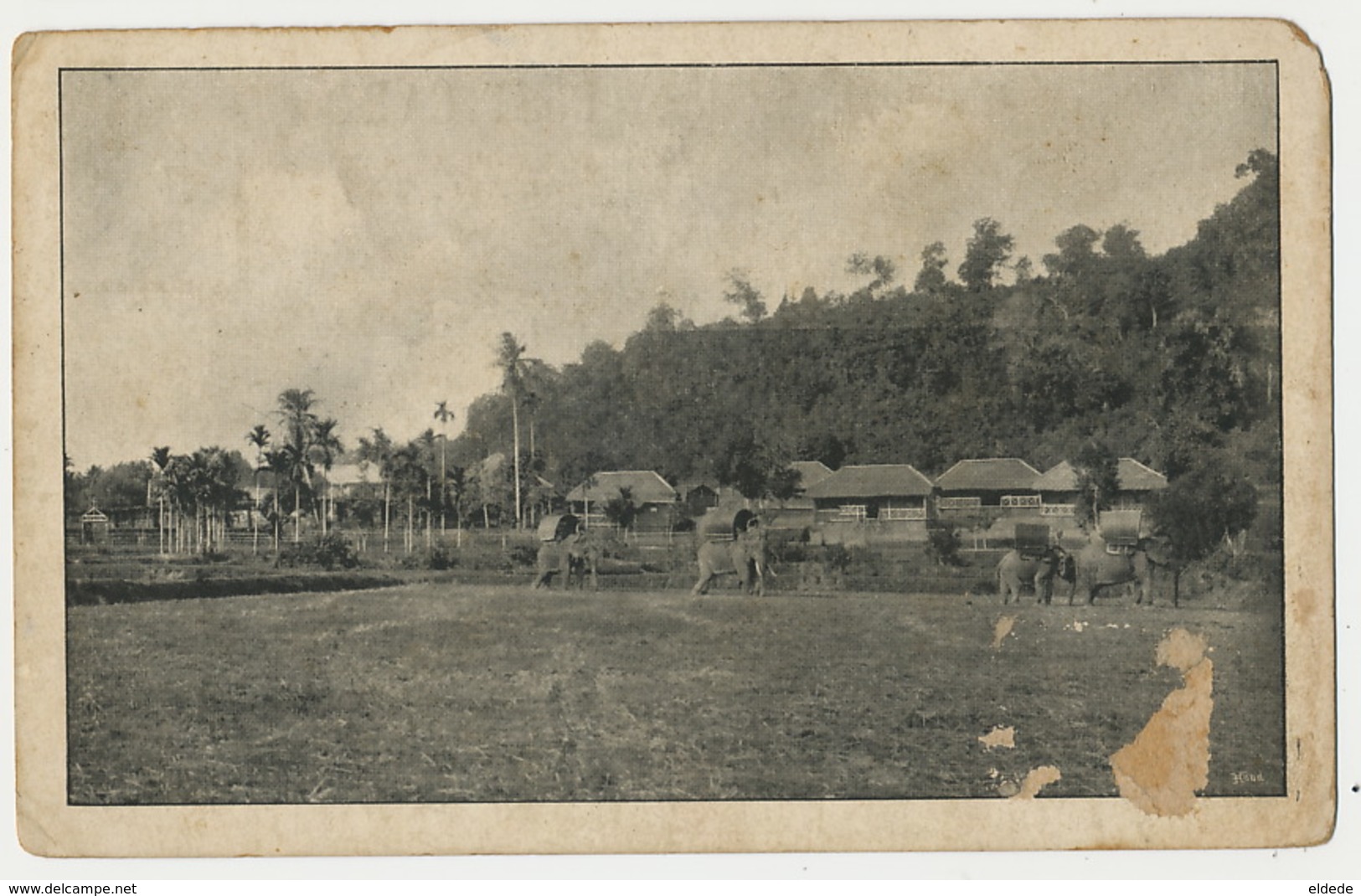 Siam Elephant Transportation Rounded Corners Some Damage On The Front - Thaïlande