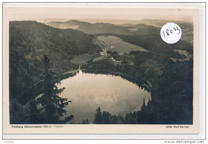 CPA -18003- Allemagne -Feldberg - Blick Auf Den Feldsee-Envoi Gratuit - Weil Der Stadt