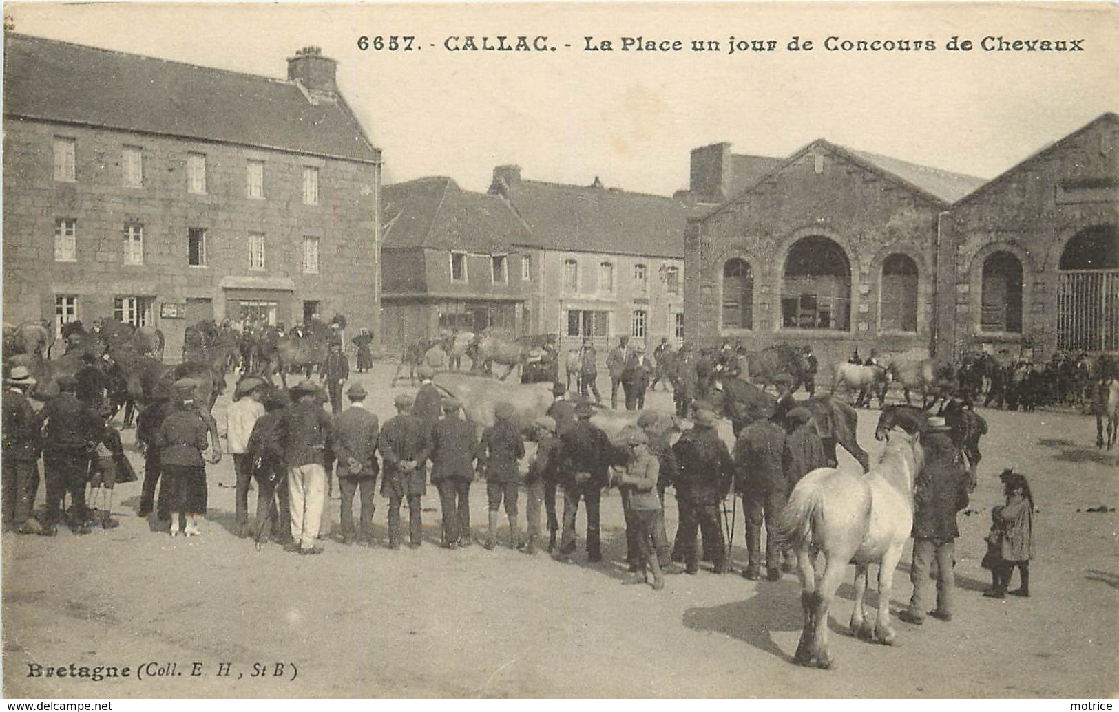 CALLAC - La Place Un Jour De Concours De Chevaux. - Callac