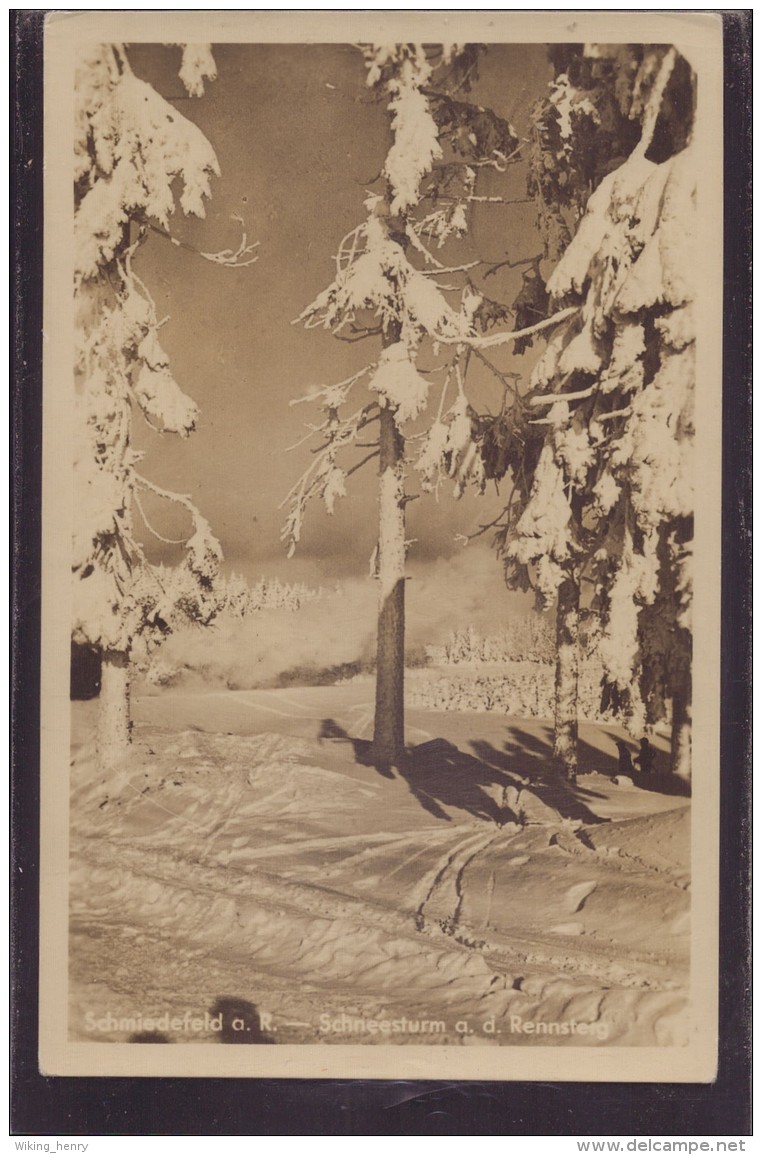 Schmiedefeld - S/w Schneesturm An Dem Rennsteig - Schmiedefeld