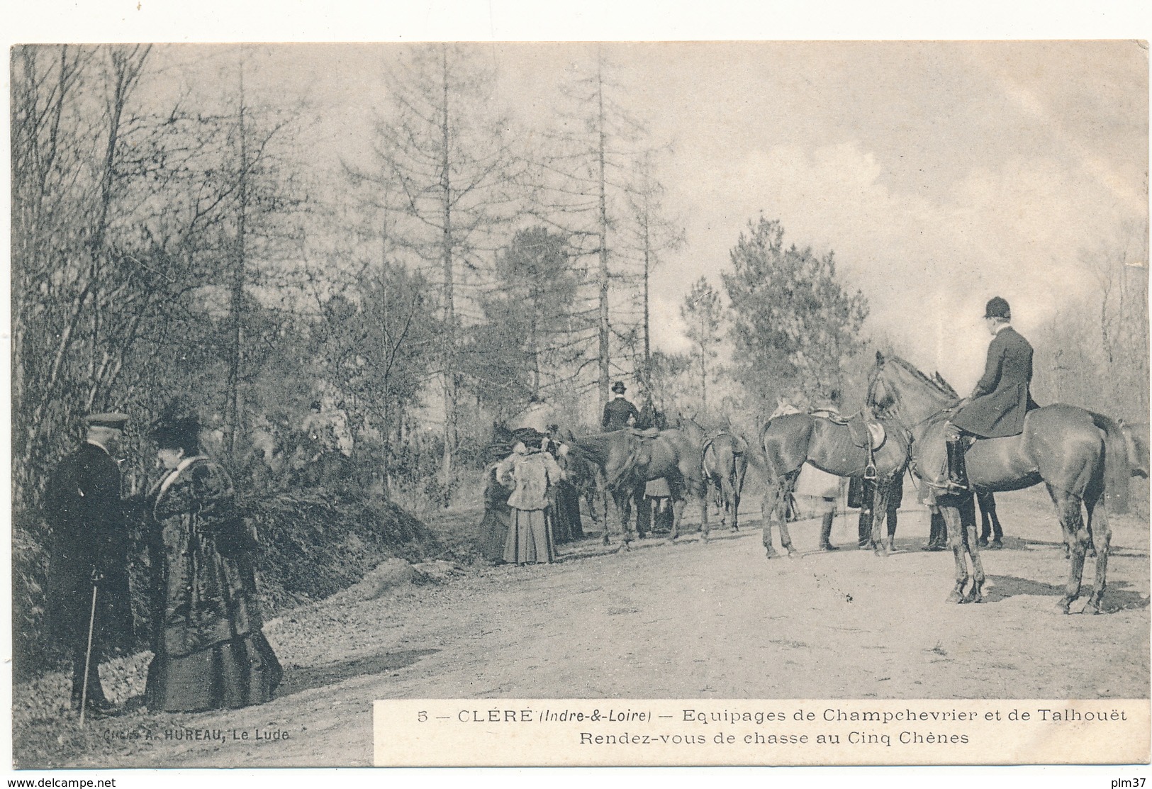 CLERE - Equipages De Champchevrier Et De Talhouët - Chasse à Courre - Cléré-les-Pins