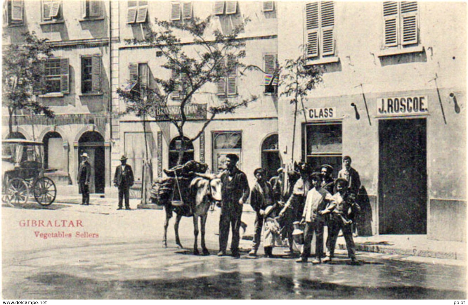 Végétables Sellers  - Class - J. Roscoe  (101666) - Gibraltar