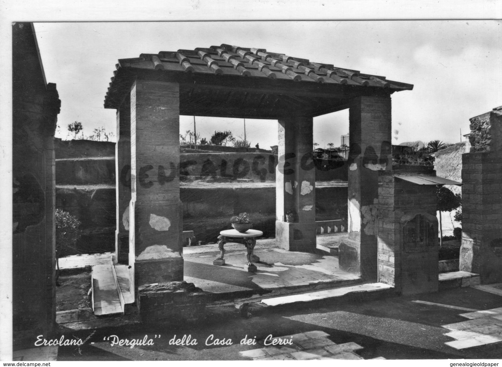 ITALIE- CAMPANIA- ERCOLANO - PERGULA DELLA CASA DEI CERVI - CARTE PHOTO - Ercolano