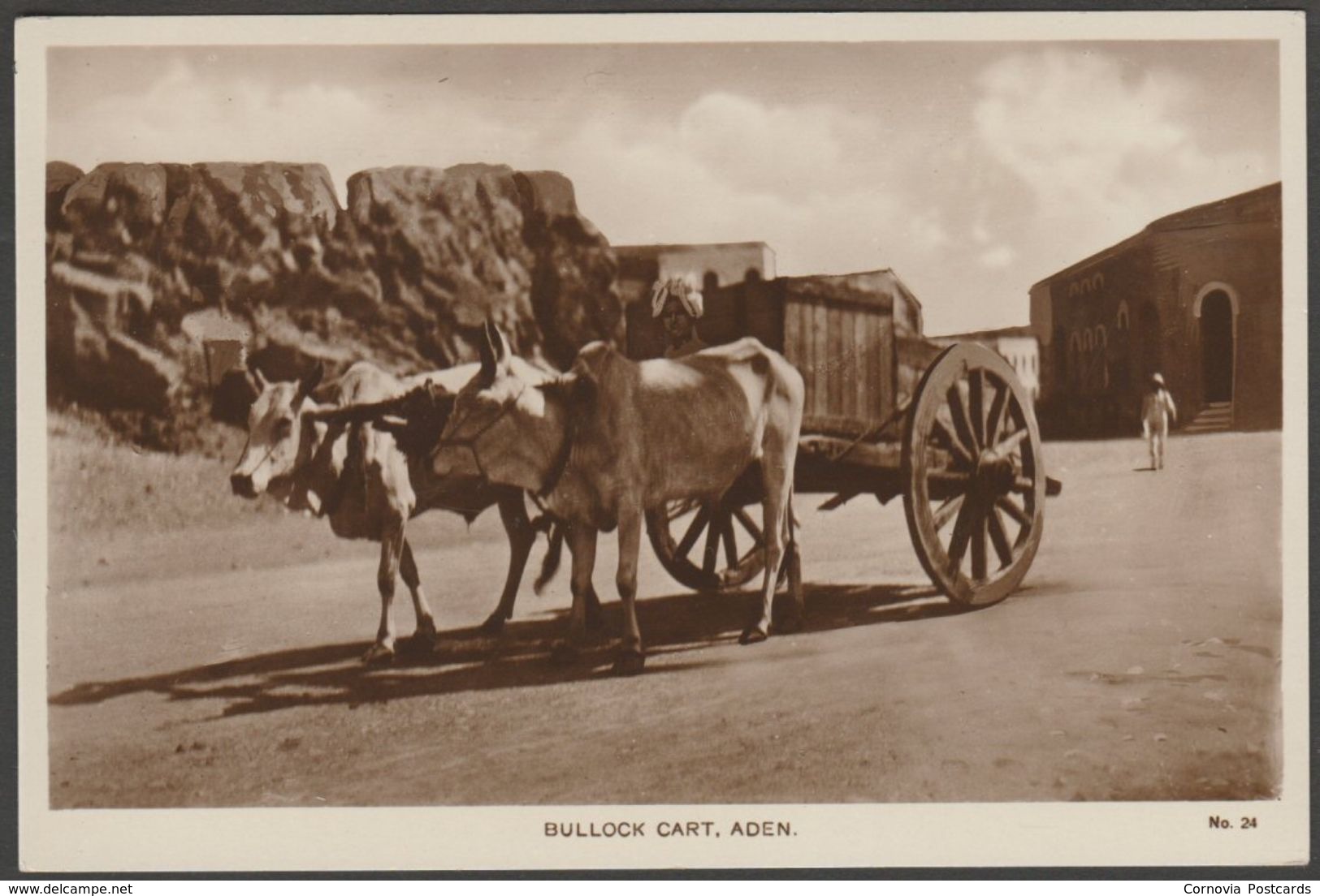Bullock Cart, Aden, C.1920s - Lehem RP Postcard - Yemen