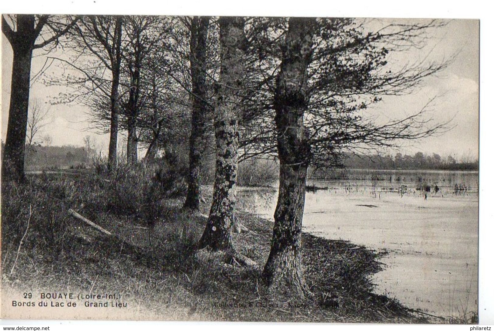 Bouaye : Bords Du Lac De Grand Lieu - Bouaye