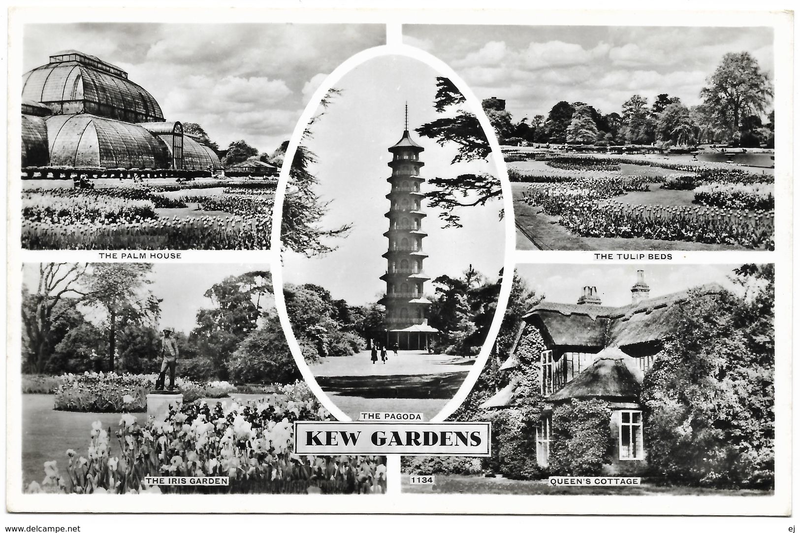 Kew Gardens Real Photo Tulip Beds Queen's Cottage Iris Palm House Pagoda Mourilyan - London Suburbs