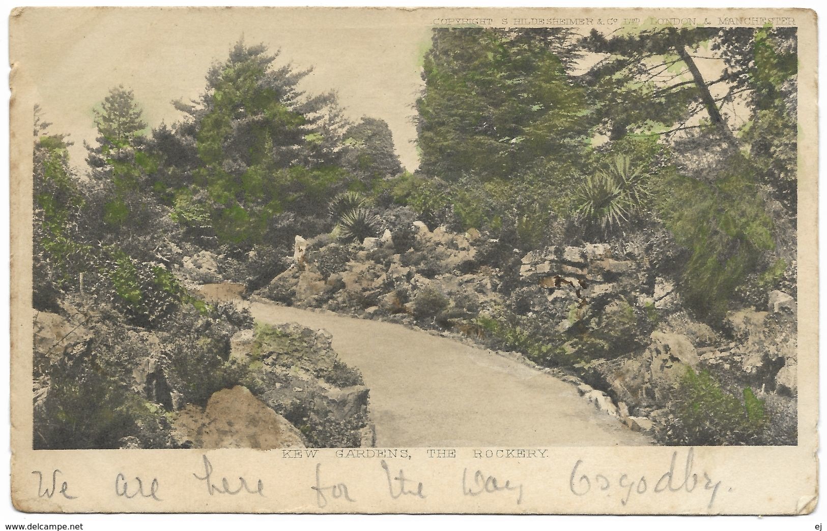 Kew Gardens The Rockery - Hildesheimer- Postmark 1905 - London Suburbs