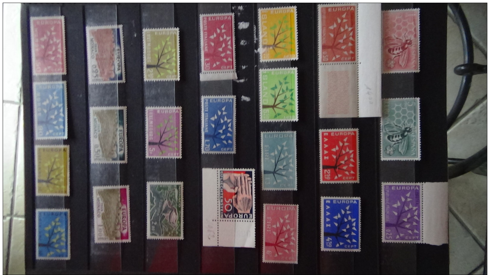 Albums de timbres Europa tous ** dont très bonnes valeurs. A saisir !!!