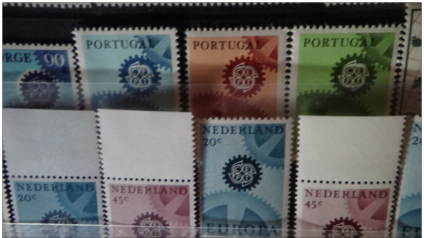 Albums de timbres Europa tous ** dont très bonnes valeurs. A saisir !!!