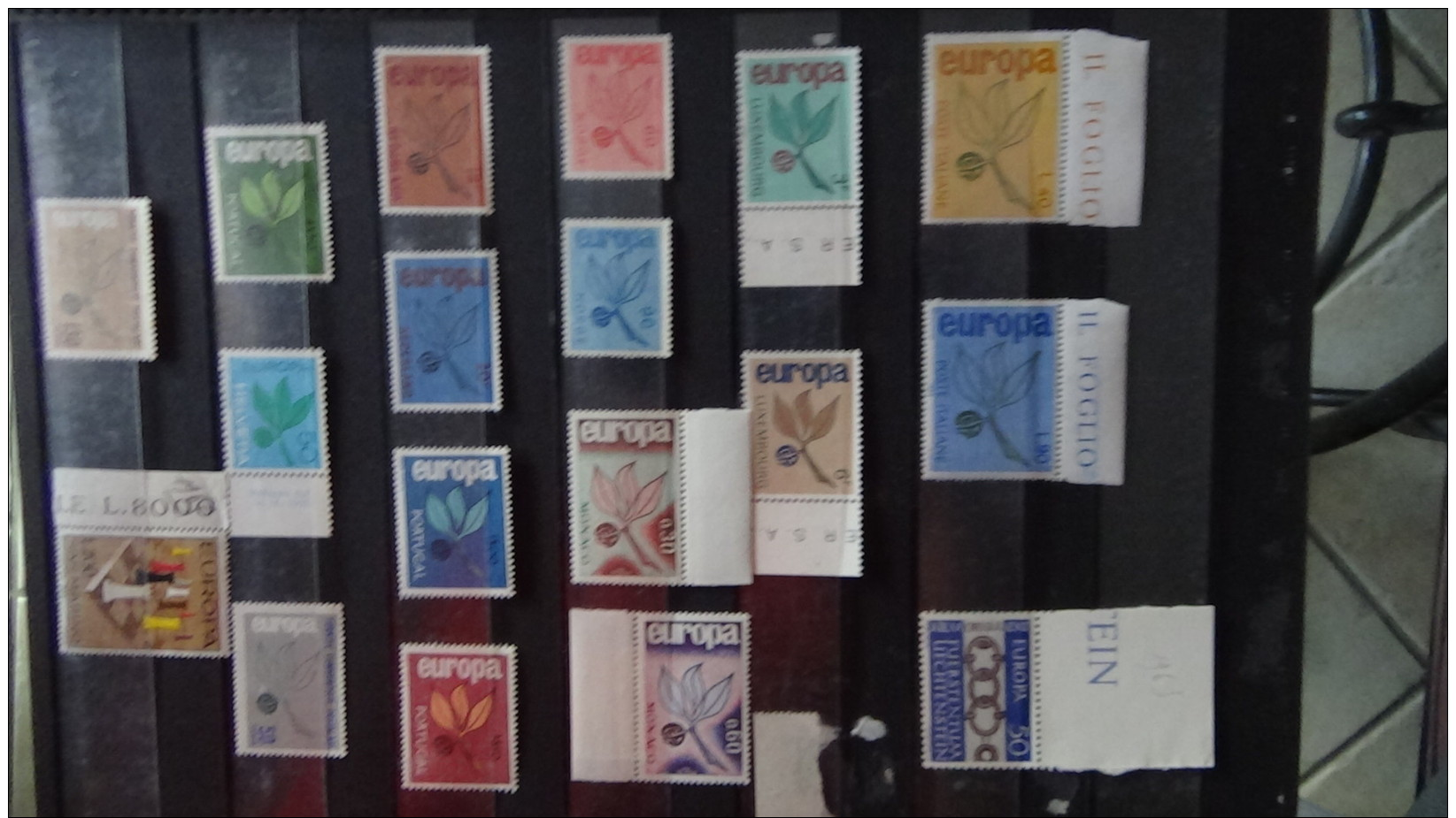 Albums de timbres Europa tous ** dont très bonnes valeurs. A saisir !!!